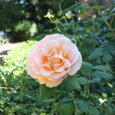 Bellawongarah Mandalay House B&B 외부 사진