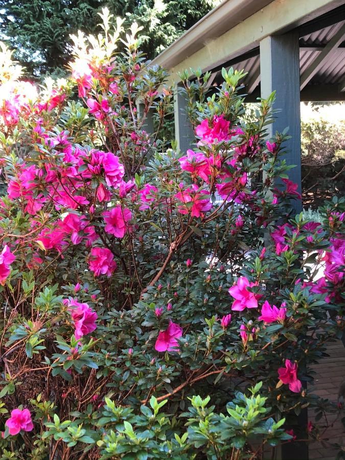 Bellawongarah Mandalay House B&B 외부 사진